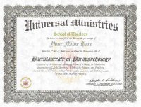 Bachelor Degree
